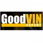 Честные отзывы о GoodVin Expert диагностика автомобилей