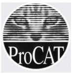 Честные отзывы о Прокат автомобилей procat.com