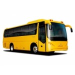 Честные отзывы о Автобусы Голден Драгон