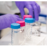 Честные отзывы о Интернет-магазин Mersana