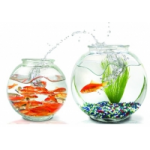 Честные отзывы о Интернет-магазин AkvaLio