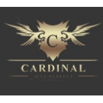 Честные отзывы о Интернет-магазин dvr-cardinal