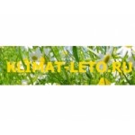 Честные отзывы о ООО Интернет покупки