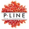 PlineGroup