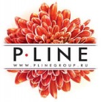 Честные отзывы о PlineGroup