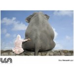 Честные отзывы о UCA Networks