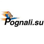 Честные отзывы о Компания Pognali.su
