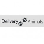 Честные отзывы о Перевозка животных deliveryanimals.ru