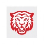 Честные отзывы о Компания lchina