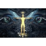 Честные отзывы о Школа Космоэнергетики имени В.А.Петрова