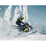 Честные отзывы о Интернет магазин snegohod-steklo.ru