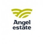 Честные отзывы о Angel Estate агентство недвижимости