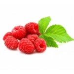 Честные отзывы о Питомник растений Вери-Бери