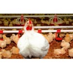 Честные отзывы о ЗАО Приосколье