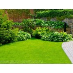 Честные отзывы о Газоны Премиум Москва