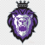 Честные отзывы о strongpush.ru