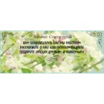 Честные отзывы о Альянс Спецстрой