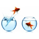 Честные отзывы о Reef City