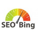 Честные отзывы о Студия Романа Челлера "SEOBing"