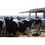 Честные отзывы о ООО "ВБ ГРУПП"