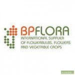 Честные отзывы о Компания BPFlora