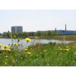 Честные отзывы о Азовский комбинат детского питания