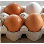 Честные отзывы о "Щелковская птицефабрика" ЗАО