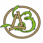 Честные отзывы о Ортопедический салон Дом Здоровья