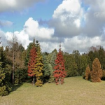 Честные отзывы о Культурно-оздоровительный центр «Источник молодости» (Краснодар, ул.Кузнечная 21)