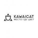 Честные отзывы о KAWAICAT белая студия