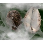 Честные отзывы о Колдун Дабор из Казани