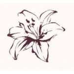 Честные отзывы о Интернет-магазин Белая Лилия