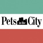Честные отзывы о Интернет-магазин товаров для животных City-Pets.ru