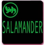 Честные отзывы о Обувь Salamander