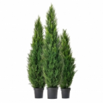 Честные отзывы о Экофлора продажа туй