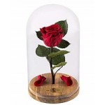 Честные отзывы о Роза в стеклянной колбе