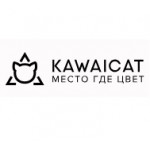 Честные отзывы о Kawaicat интернет-магазин