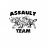 assault-team.ru интернет-магазин