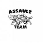 Честные отзывы о assault-team.ru интернет-магазин