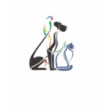 Честные отзывы о Верона ветеринарная клиника