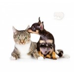 Честные отзывы о Центр ветеринарной клиники на Каховке