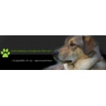 Честные отзывы о Алтуфьево Био-Вет