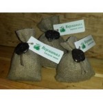 Честные отзывы о Верминал