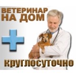 Аферисты ВетДруг не ведитесь
