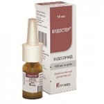 Честные отзывы о Будостер