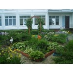 Честные отзывы о Детский сад № 1249, Москва