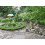 Честные отзывы о Детский сад № 1431 в Москве