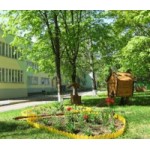 Честные отзывы о Детский сад № 446 в Москве