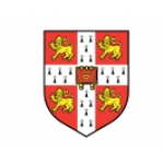 Честные отзывы о Частный детский сад "Олимпик", Москва