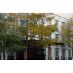 Честные отзывы о Дошкольное отделение, Школа № 1352 в Москве